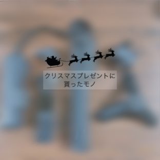 クリスマスプレゼントに貰ったモノ